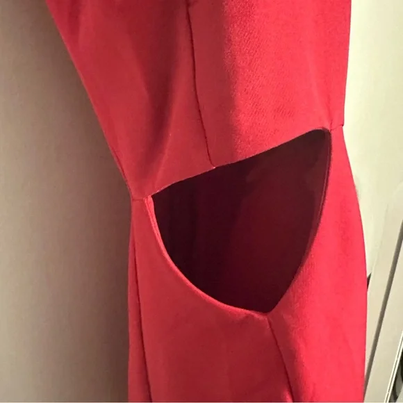 Elegant Redish Magenta Sleeveless Dress - Picture 3 of 6